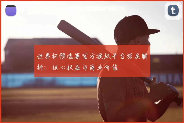 世界杯预选赛官方授权平台深度解析:核心权益与商业价值