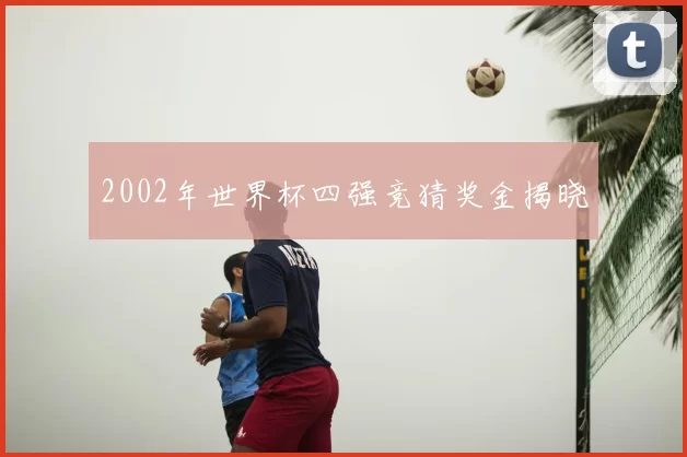 2002年世界杯四强竞猜奖金揭晓