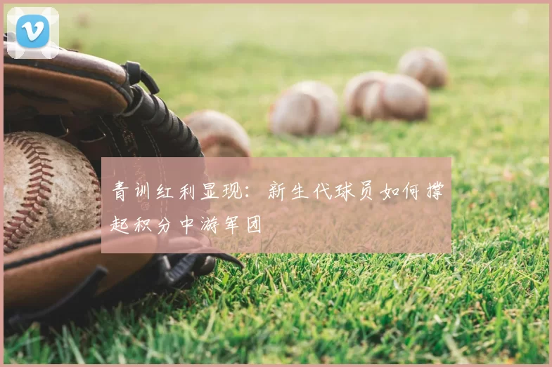 青训红利显现：新生代球员如何撑起积分中游军团
