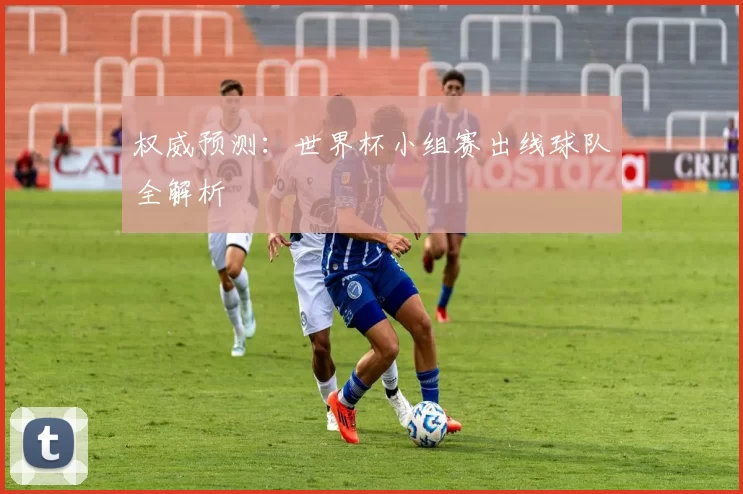 权威预测:世界杯小组赛出线球队全解析