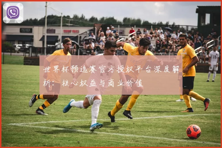 世界杯预选赛官方授权平台深度解析:核心权益与商业价值