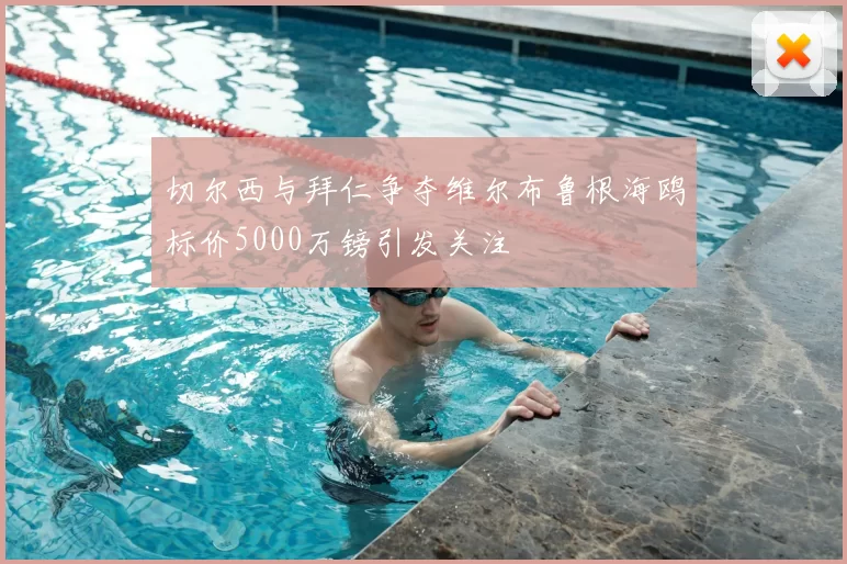 切尔西与拜仁争夺维尔布鲁根海鸥标价5000万镑引发关注