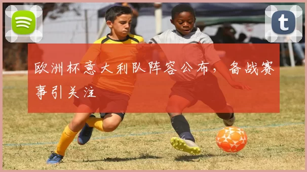 欧洲杯意大利队阵容公布,备战赛事引关注