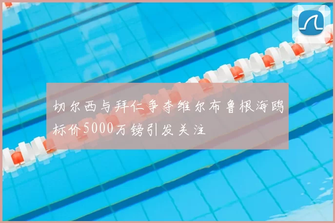 切尔西与拜仁争夺维尔布鲁根海鸥标价5000万镑引发关注